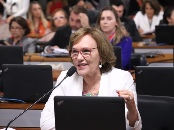 Senadora lembra que o país já tem uma lei, mas nunca foi colocada em prática em toda sua extensão — Foto: Fernando Oliveira