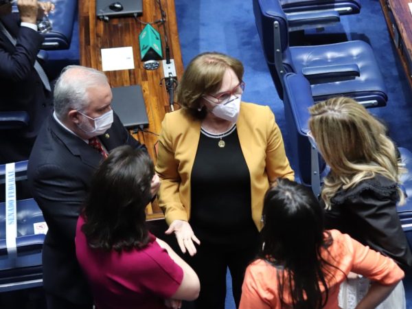 O Projeto de Lei aprovado no Senado segue para a análise na Câmara dos Deputados. — Foto: Divulgação