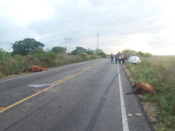 Acidente aconteceu em um trecho da RN-003, entre Santo Antônio e São José do Campestre — Foto: Redes sociais