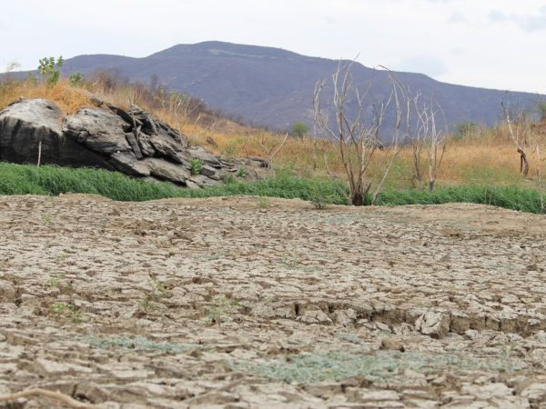 Rio Grande do Norte tem vivenciado períodos de intensa escassez hídrica há sete anos — Foto: Anderson Barbosa/G1