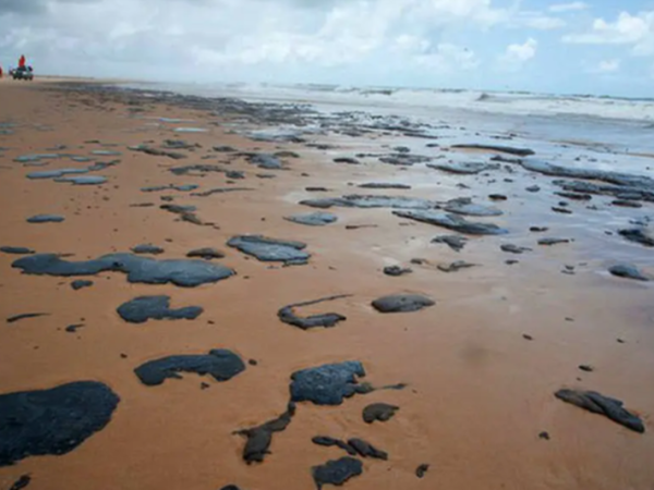 As medidas devem abranger toda a costa da região, da Bahia ao Maranhão — Foto: ADEMA.