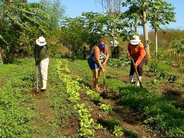 Trabalho com a terra também trouxe outro fruto importante: a independência financeira para as mulheres do campo — Foto: Reprodução