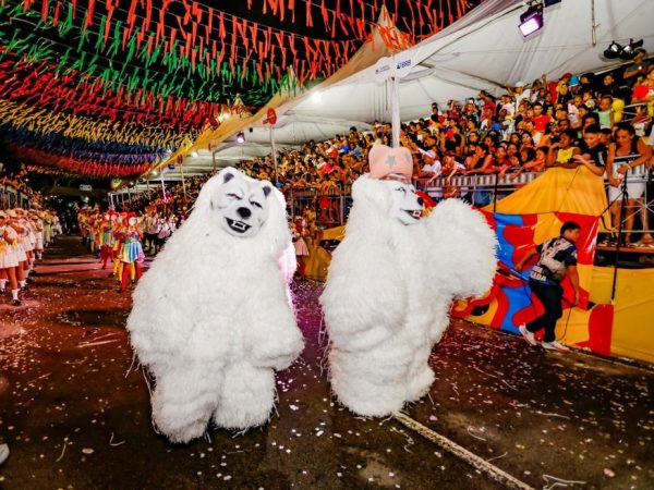 ala-ursa-carnaval-2024 Ursos no desfile de Ala Ursas no Carnaval Tradição 2024 de João Pessoa — Foto: Daniel Silva/Divulgação