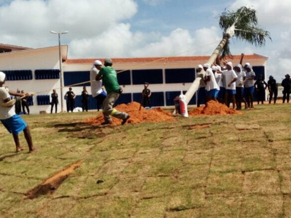 SEJUC disse que o gramado e as palmeiras plantados em Alcaçuz foram doações, e que o serviço foi uma ocupação para os presos (Foto: SEJUC/Divulgação)