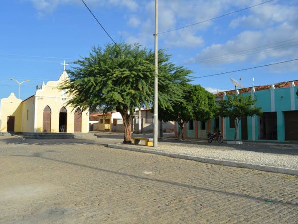 Algodão de Jandaíra, na Paraíba — Foto: Divulgação