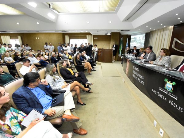 Audiência contou com a participação de membros do judiciário, executivo e associações que atuam no tema — Foto: João Gilberto