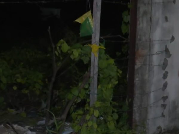 area-de-mata Corpo é encontrado em estado de decomposição em terreno, em João Pessoa — Foto: TV Cabo Branco