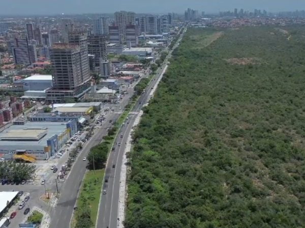 Avenida Engenheiro Roberto Freire e área de preservação ambiental ao lado, onde prefeitura quer fazer o Parque Linear — Foto: Reprodução/Inter TV Cabugi