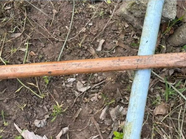 Pedaço de madeira que foi usado durante a agressão, em Lagoa Seca, na Paraíba — Foto: TV Cabo Branco/Reprodução