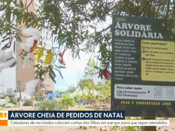 Pedidos de Natal são colocados em árvore solidária em parque de João Pessoa — Foto: Reprodução/TV Cabo Branco