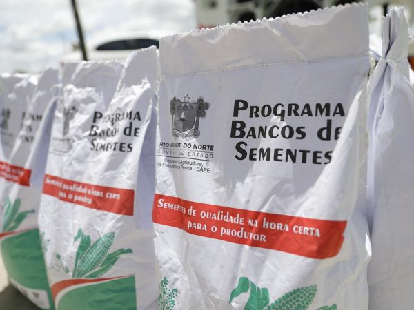 Sementes começam a ser distribuídas nesta semana — Foto: Raiane Miranda/governo do RN