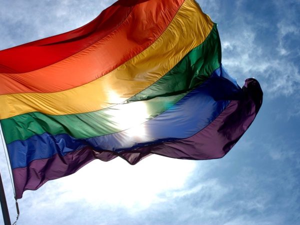 Bandeira do orgulho gay — Foto: Reprodução/Redes sociais