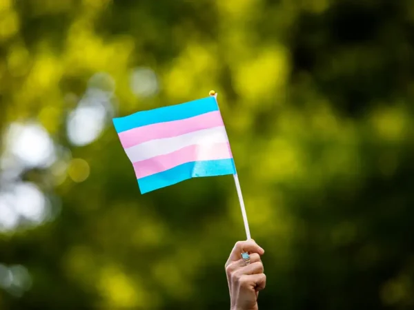 Bandeira representativa da comunidade trans em Nova York, EUA
24/5/2019 REUTERS/Demetrius Freeman/Arquivo