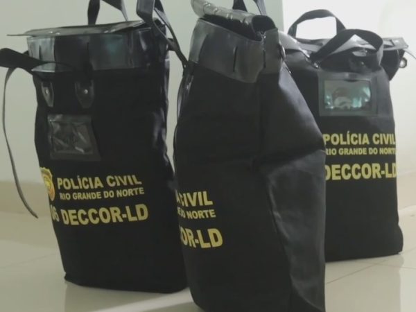 Bolsas com materiais apreendidos durante operação — Foto: Polícia Civil/Divulgação