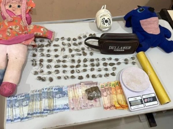 Polícia apreendeu drogas que estavam escondidas em bonecos — Foto: Divulgação/PM