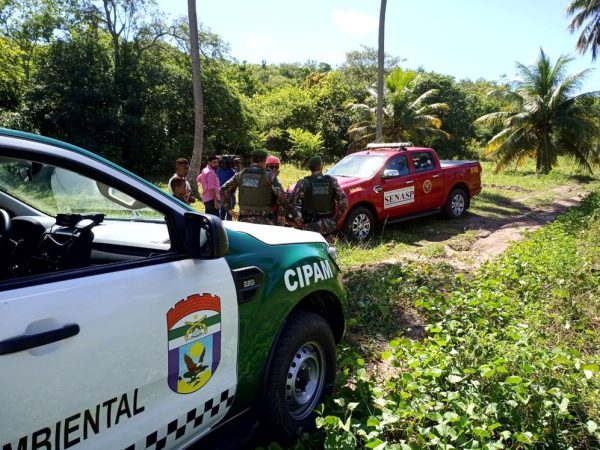 Equipes da PM, Corpo do Bombeiros e FAB participaram das buscas pelo ultraleve desaparecido — Foto: PMRN/Divulgação
