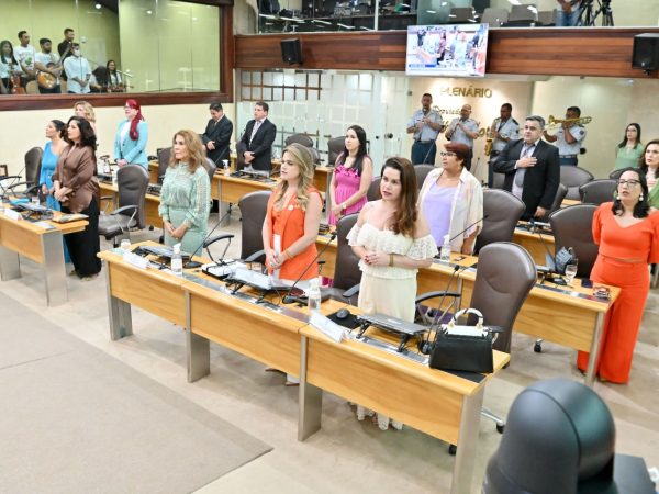 A deputada Cristiane Dantas decidiu propor que o dia 19 de novembro fosse incluído no calendário estadual para homenagear as mulheres empreendedoras. — Foto: Divulgação