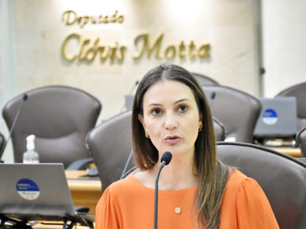 Deputada Cristiane Dantas. — Foto: Divulgação