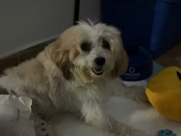 Pelado processou o município de João Pessoa por erro médico — Foto: Reprodução/TV Cabo Branco