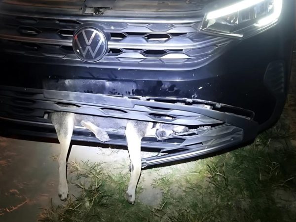 Carro viajou por mais de 400 km até chegar em Maceió — Foto: Corpo de Bombeiros