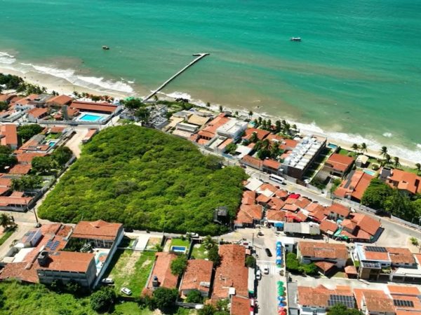 Maior cajueiro do mundo fica em Parnamirim, na Grande Natal — Foto: José Farias/Drone do Sol