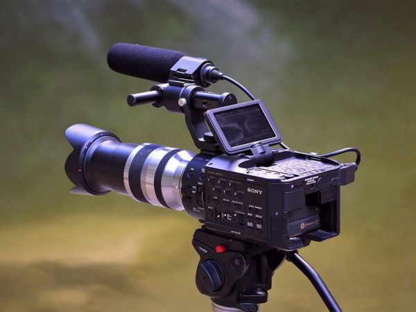 Mostra Macambira de Cinema abre inscrições para filmes realizados por mulheres — Foto: Pixabay