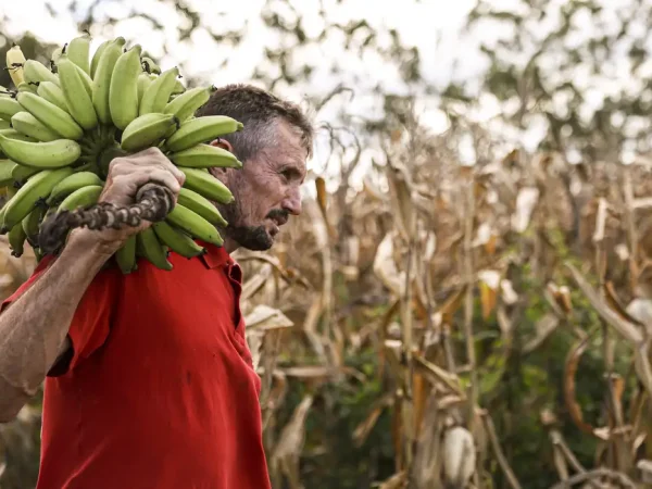Mauriti (CE), 26/05/2025 - O pequeno agricultor da comunidade Canabravinha, Albino Viana, diz que sofre com a escassez de água e espera poder irrigar sua produção com as águas da transposição do rio São Francisco. Foto: Marcelo Camargo/Agência Brasil