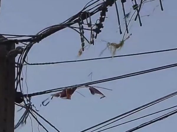 Pipas presas em fios da rede elétrica da Paraíba — Foto: Reprodução TV Cabo Branco.