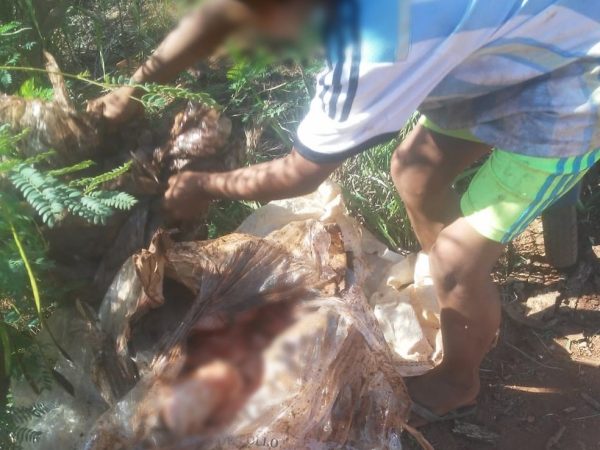 Crianças, idosos e adultos desenterraram frangos descartados para levar para casa, em Porto Iguaçu — Foto: Movimento Ativo Social e Político Iguaçu/Divulgação