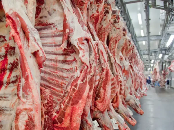 Estados Unidos suspendem importações de carne fresca brasileira