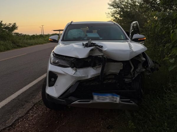 Carro de deputado atingiu animal na BR-405 no RN — Foto: Redes sociais