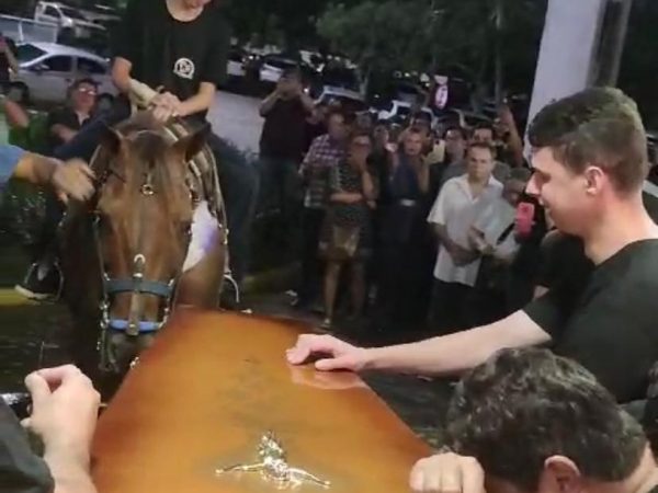 Cavalo se despede de vaqueiro que morreu após mal súbito durante vaquejada no interior do RN — Foto: Reprodução