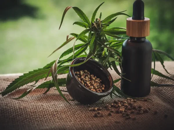 23/06/2023 -  óleo de canabis, canabidiol, cbd, thc. Foto: CBD-Infos-com/ Pixabay