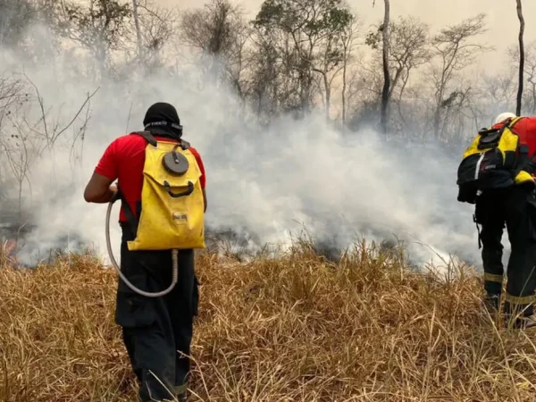 Alvorada do Oeste (RO), 25.08.2024 - Força-Tarefa do Corpo de Bombeiros combate incêndios florestais em Alvorada do Oeste em Rondônia. Foto: CBMRO/Divulgação