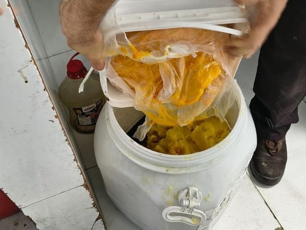cggaleria2 Dois estabelecimentos têm atividades suspensas e seis são autuados por irregularidades no dia da abertura do São João em Campina Grande — Foto: Ministério Público da Paraíba