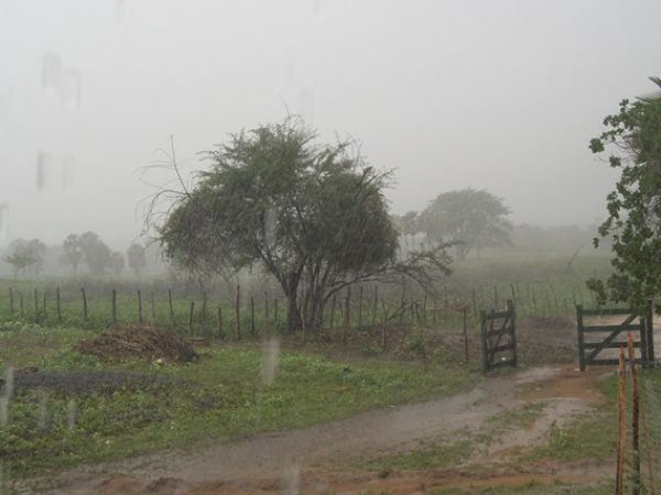 Chuvas no interior - Crédito da foto: Wllana Dantas
