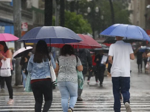 São Paulo (SP), 08/11/2024 -  Chuva forte no centro de São Paulo.  Foto: Paulo Pinto/Agência Brasil