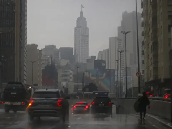 São Paulo (SP), 16/01/2025 -  Forte chuva no centro de São Paulo no final da tarde. Foto: Paulo Pinto/Agência Brasil
