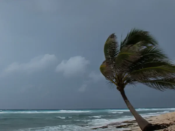Brasília (DF) 15/02/2024 - Ciclone provoca chuva forte nos estados do Rio de Janeiro e São Paulo nos próximos dias.
Foto: Inmet/Divulgação