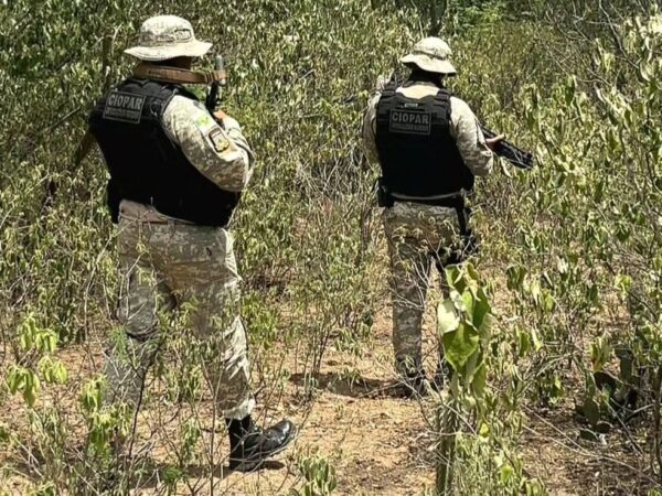 Ciopar é unidade da Polícia Militar do RN especializada em operações em área rurais — Foto: Ciopar/Divulgação