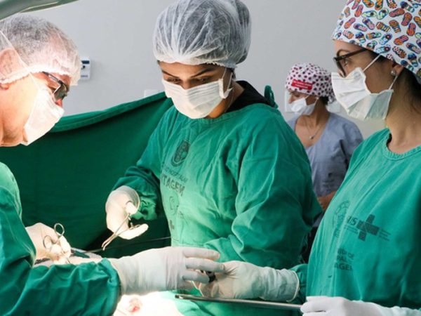 Procedimentos estavam suspensos desde março por causa da pandemia do coronavírus. — Foto: Divulgação/Ministério da Saúde