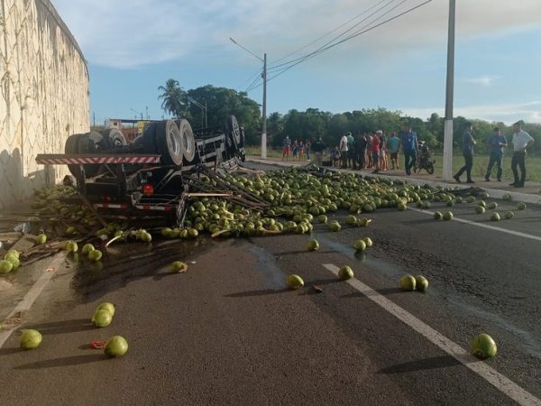 Caminhão carregado de coco tombou de cima de viaduto em Goianinha — Foto: Divulgação