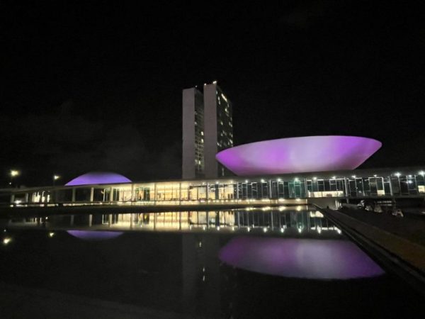 Cúpulas do Congresso iluminadas de lilás - Ana Chalub/Câmara dos Deputados