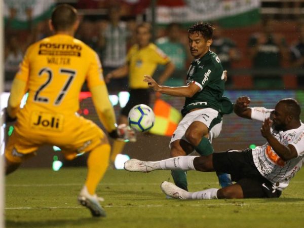 Gustavo Scarpa, disputa bola com o Manoel em partida válida pela 32ª rodada do Brasileirão — Foto: S.E Palmeiras/Divulgação