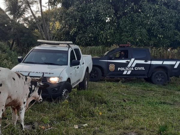 Corpo foi encontrado em terreno baldio em Parnamirim, na Grande Natal — Foto: Sérgio Henrique Santos/Inter TV Cabugi