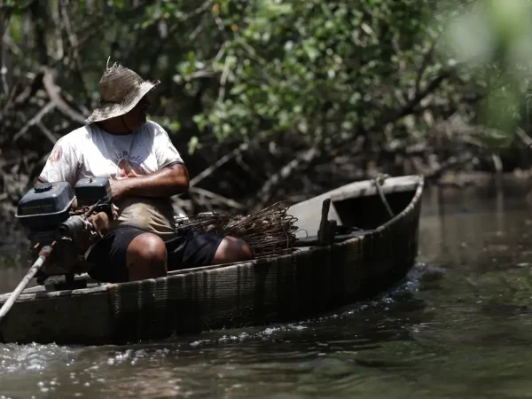 Magé (RJ), 15/10/2024 - Pesca artesanal em manguezal na Piedade banhado pelo Rio Majé, que desagua na Baía de Guanabara. Foto: Fernando Frazão/Agência Brasil