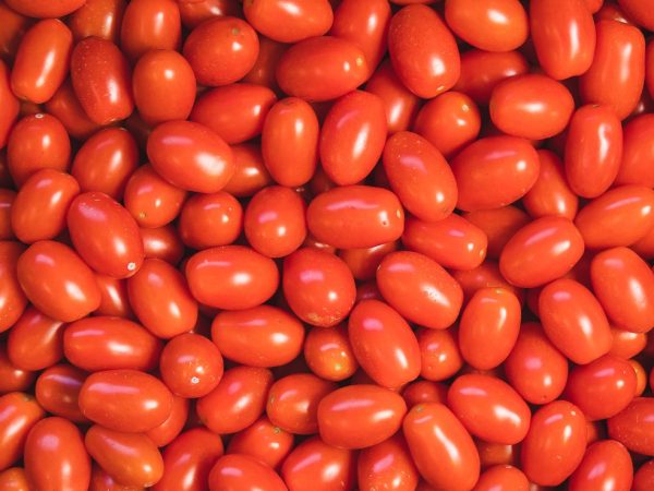 Tomates — Foto: Celso Tavares/g1