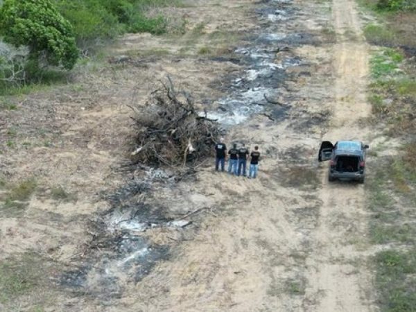 Desmatamento em área de preservação ambiental no interior do RN é investigado pela Polícia Federal — Foto: PF/Divulgação