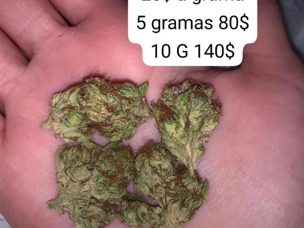 Pizzaiolo é preso no RN por vender drogas pela internet e oferecer 'delivery' — Foto: Reprodução