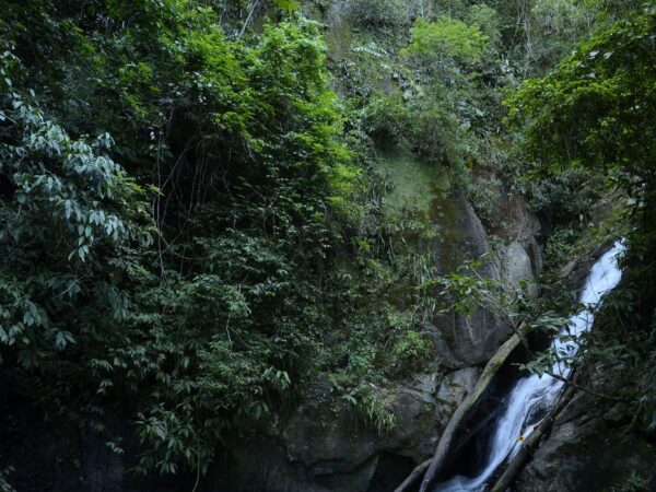 Cachoeira do Horto no percurso de trilhas dentro da mata atlântica na Floresta da Tijuca, no Rio de Janeiro